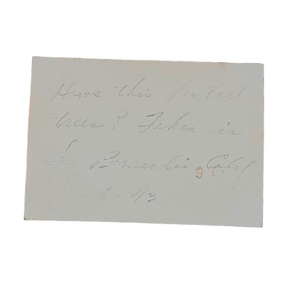 Vtg San Bernardino California Tall Trees Original Monochrome Photography Found - Picture 4 of 4